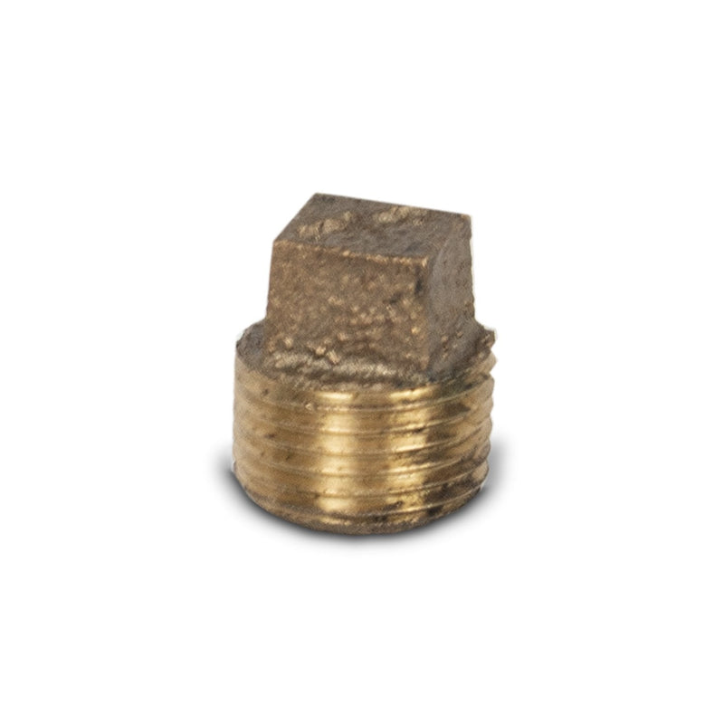 2.5 Inch SS Housing Brass End Plug 3/8 Inch FNPT — water filtration system